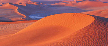 日本男篮实现突破，东京奥运会夺得亚洲赛区奖牌