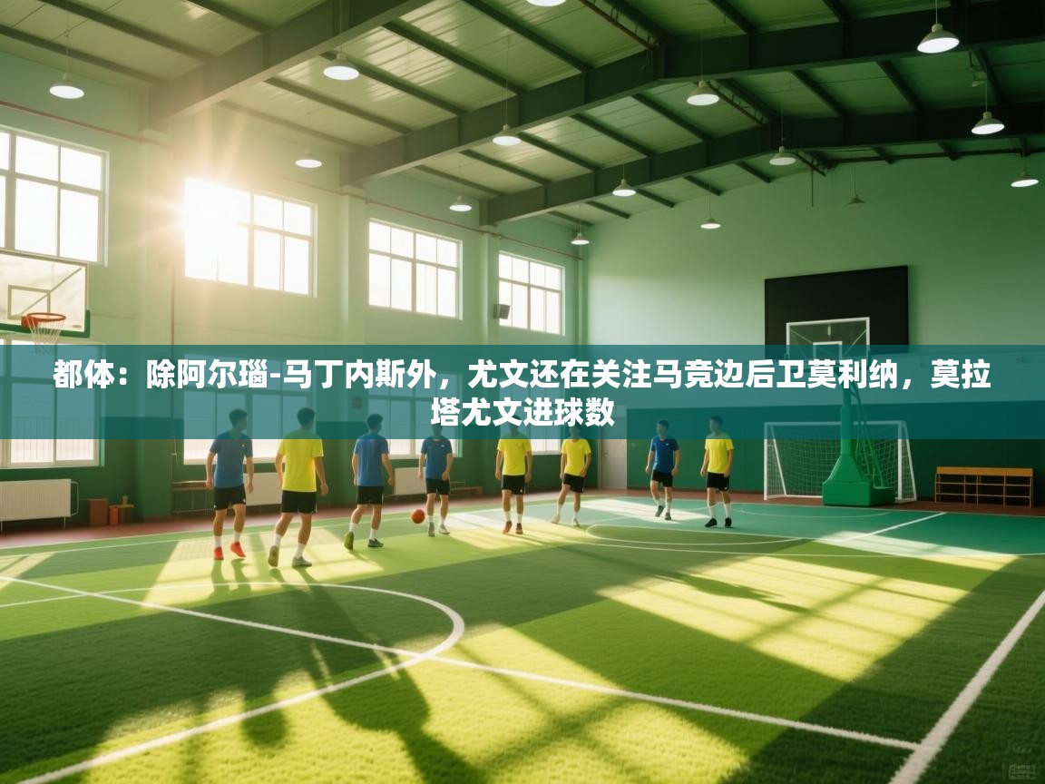 都体：除阿尔瑙-马丁内斯外，尤文还在关注马竞边后卫莫利纳，莫拉塔尤文进球数