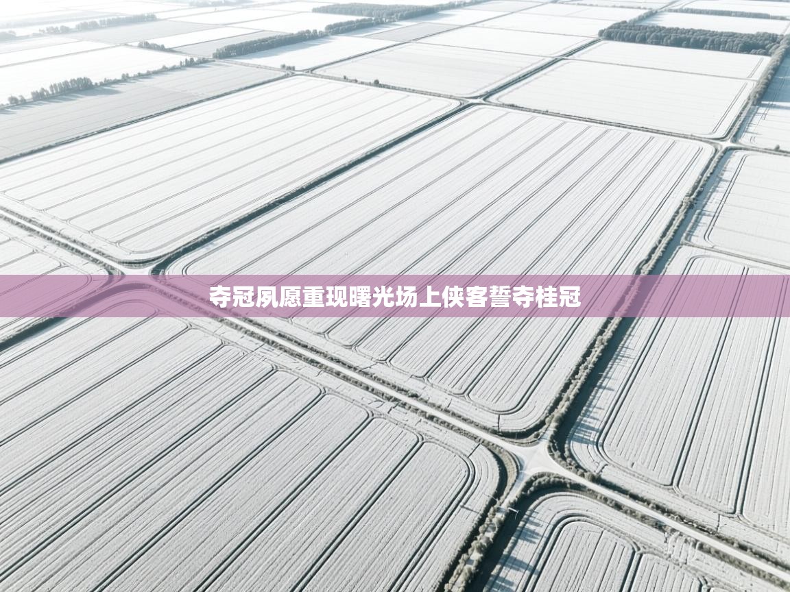 夺冠夙愿重现曙光场上侠客誓夺桂冠